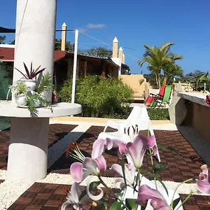 Boutique Cabrera